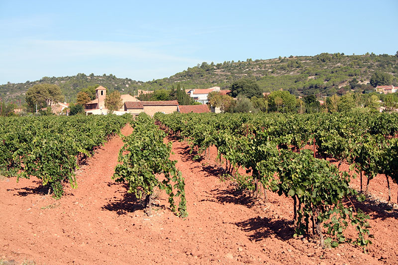 Vue du Bourg de la commune de Cébazan