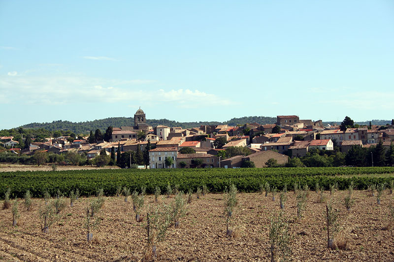 Vue du Bourg de La Livinière