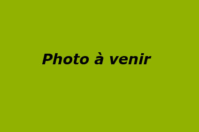 Photo à venir